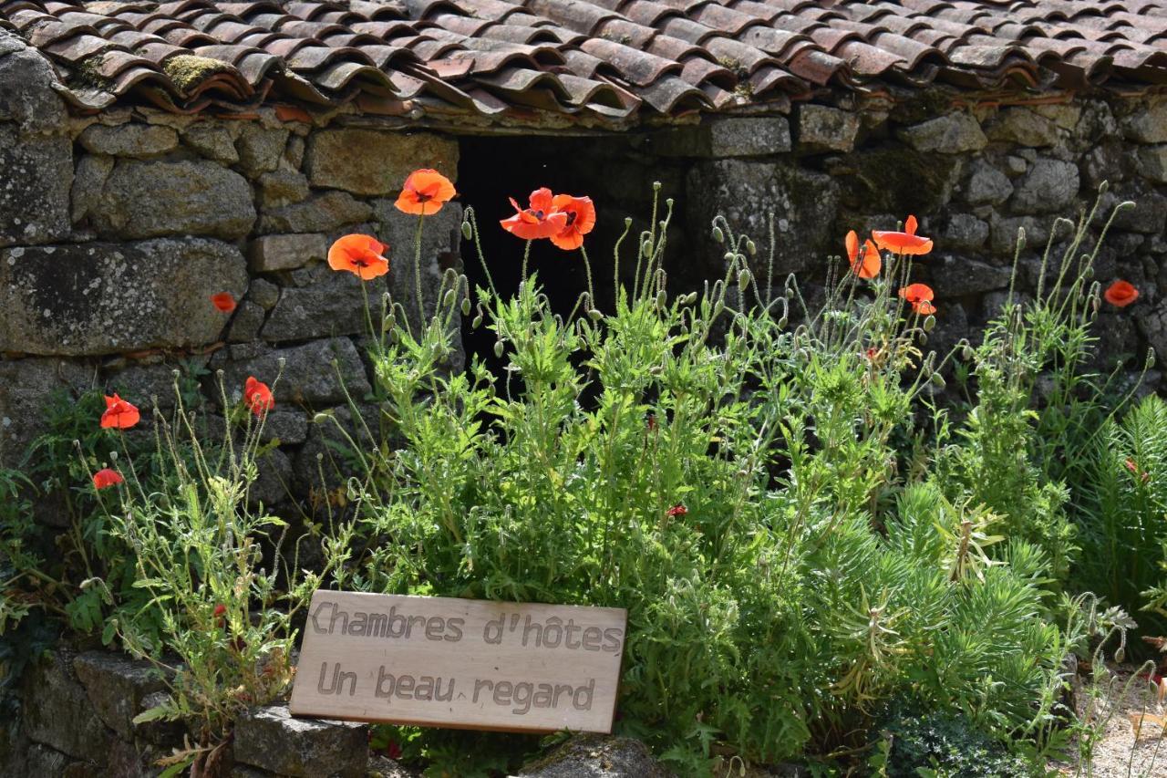 Chambre d'hôtes Un Beau Regard, Proche Puy du Foù Mauleon Exterior foto
